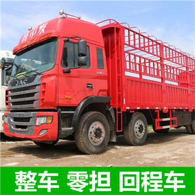 惠州到岳陽(yáng)專(zhuān)線物流公司-惠州到岳陽(yáng)附近大件物流